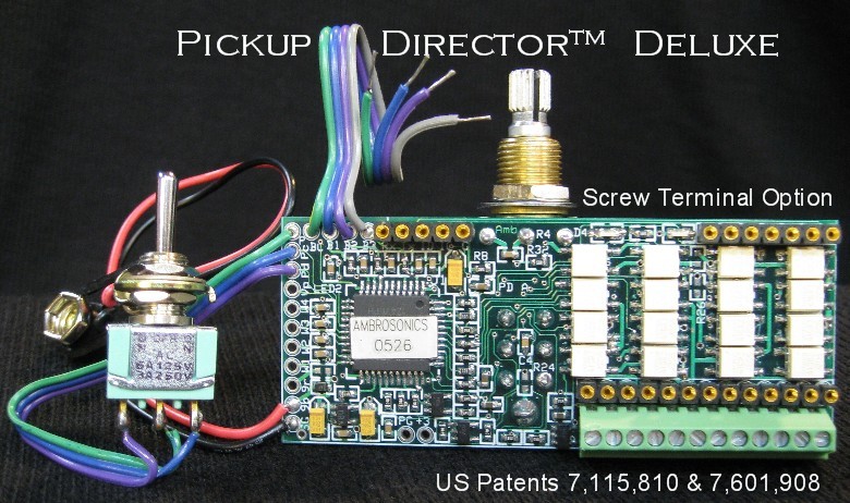 Pickup_Director_Deluxe_IMG_2608_780_by_462_pix